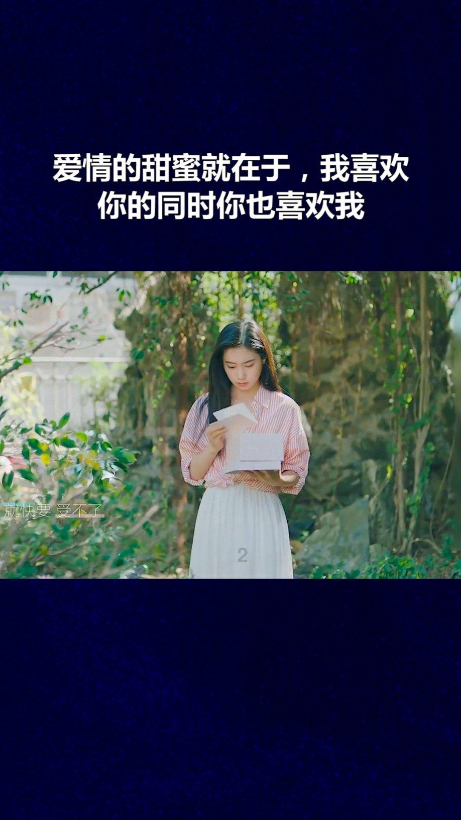 森系丛林