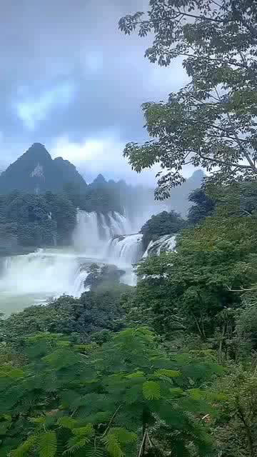 逃出昏暗的房子